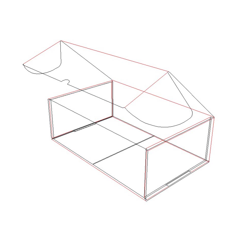 Cartón Caja 3D alámbrico